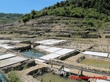 Salinas de Añana