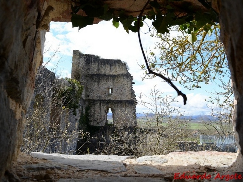 Torre-Palacio de los Guevara