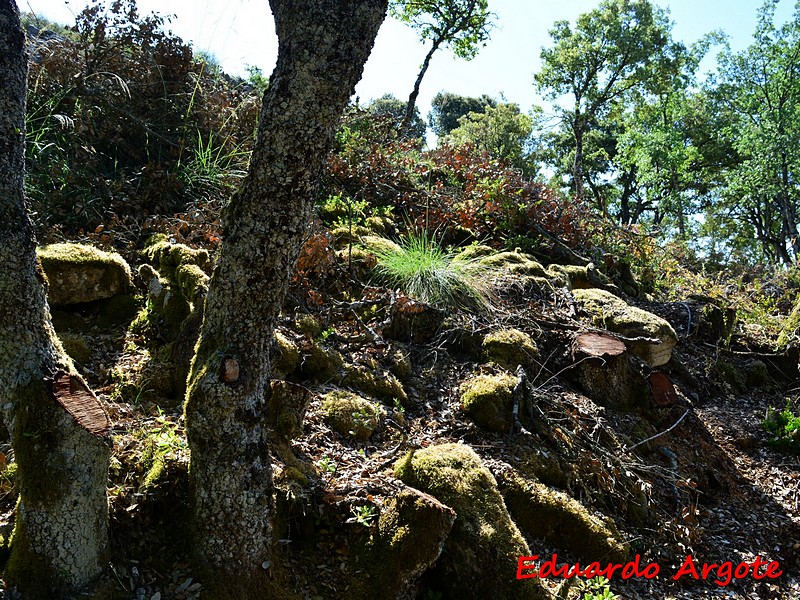 Castillo de Tuio