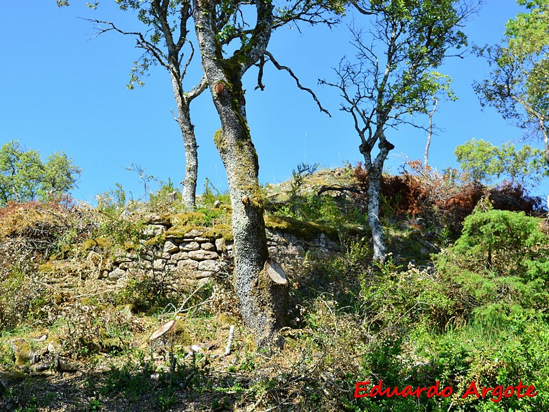 Castillo de Tuio