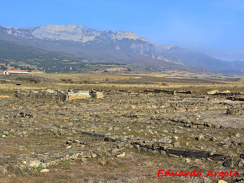 Poblado de La Hoya