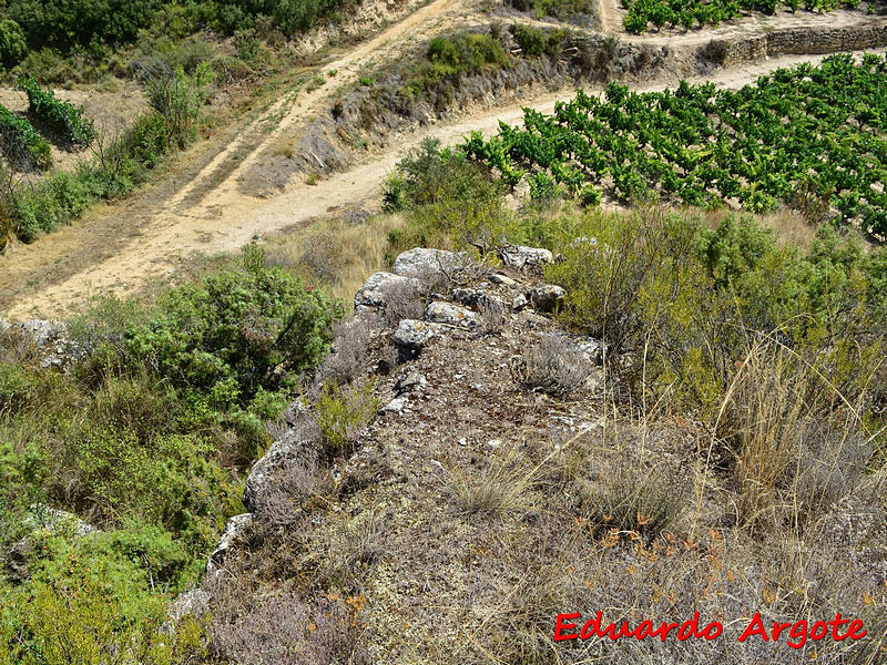 Castillo de Assa