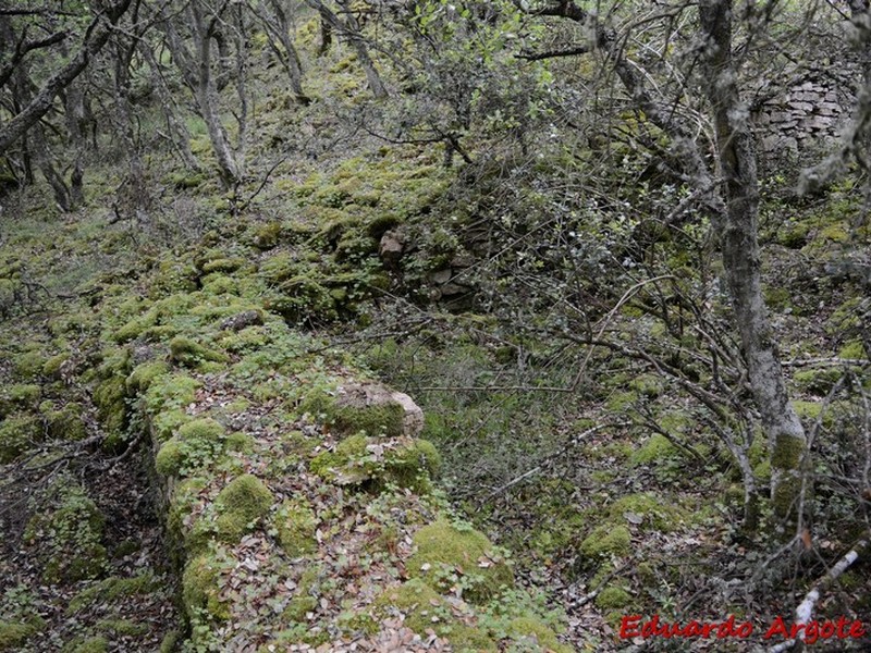 Castros de Lastra