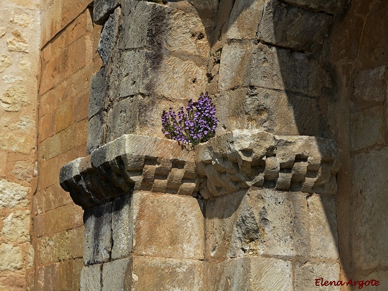 Iglesia de San Román