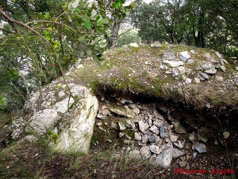 Castillo de Zaitegi