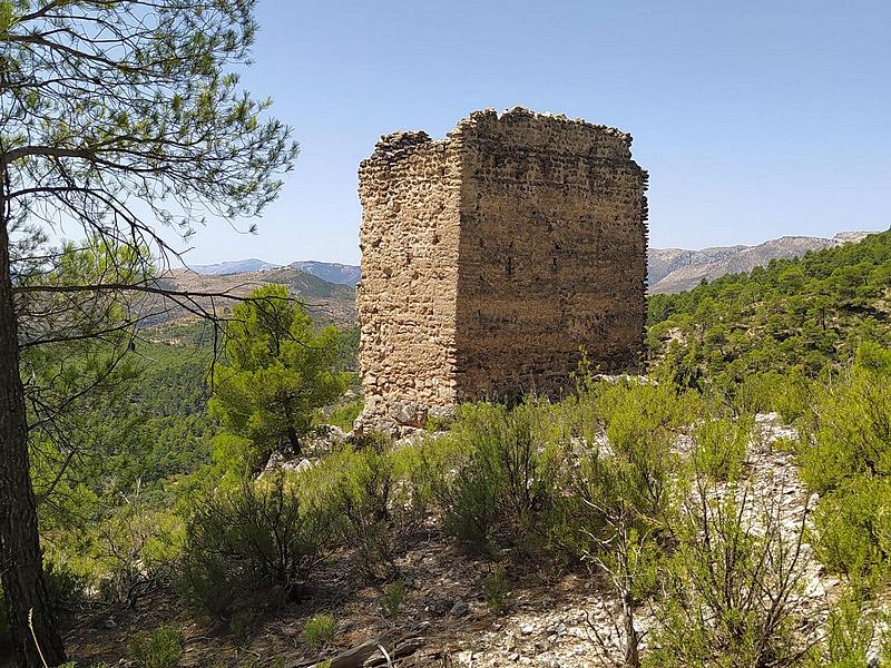 Torre de los Torrepedro