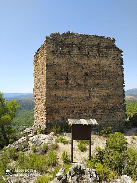 Torre de los Torrepedro