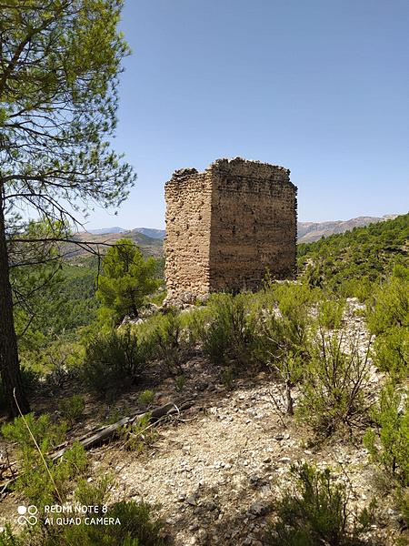 Torre de los Torrepedro