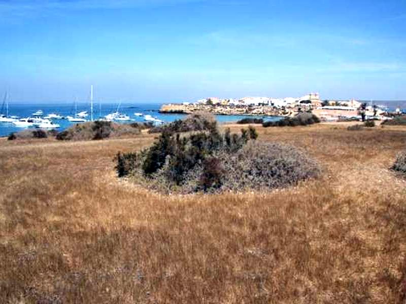 Reserva marina de Tabarca