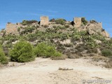 Castillo del Río