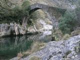 Puente de la Vidre