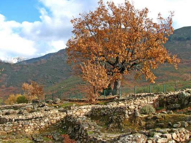 Castro de El Freíllo