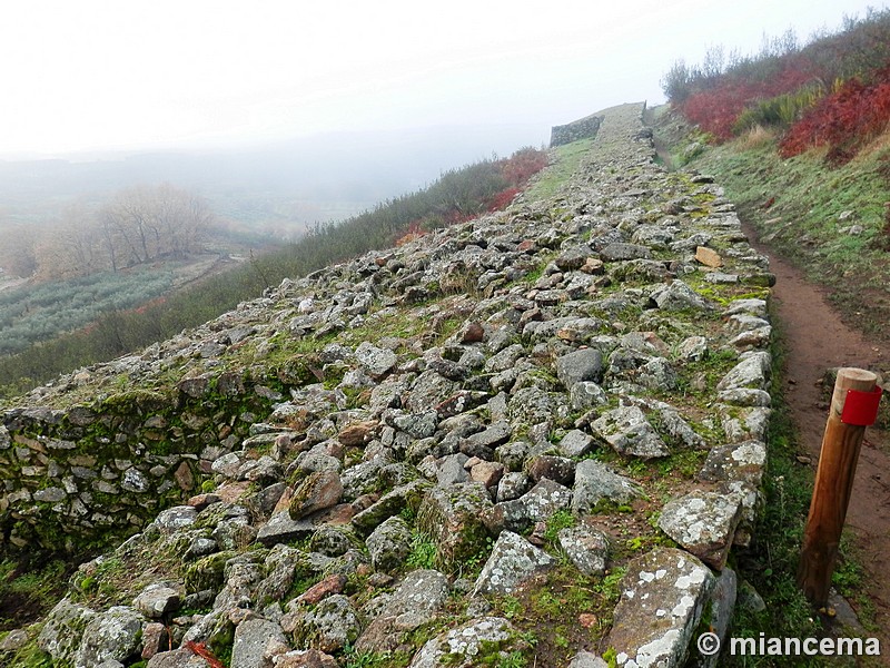 Castro de El Freíllo