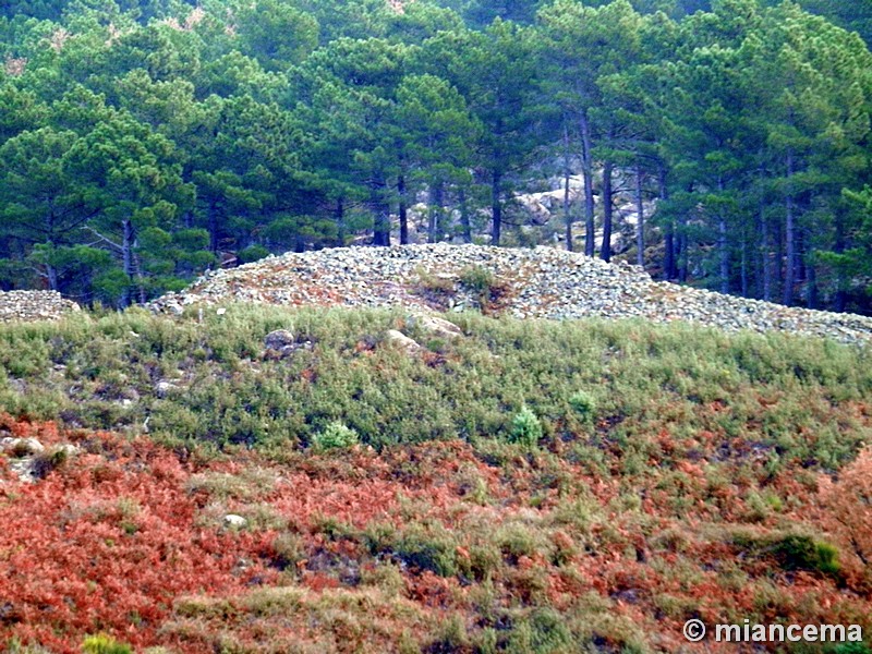 Castro de El Freíllo