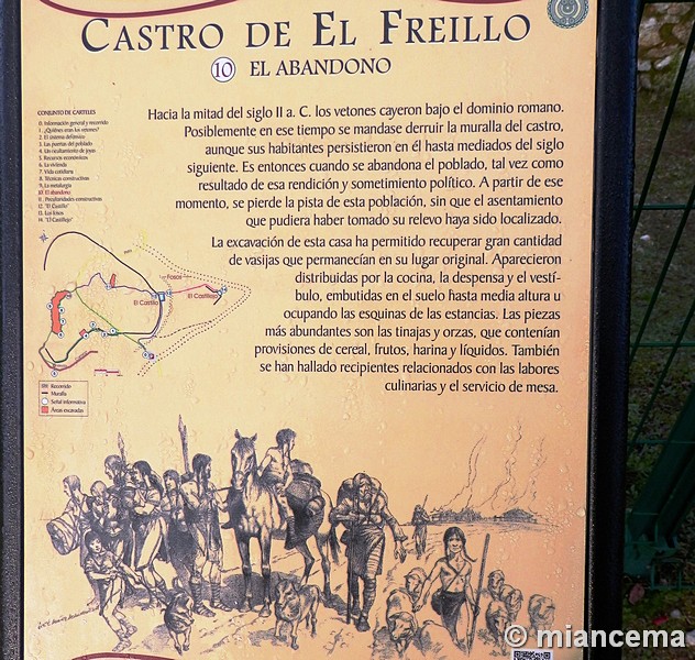 Castro de El Freíllo