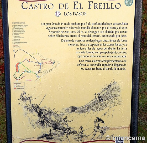 Castro de El Freíllo