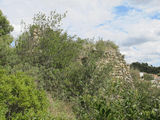 Castillo de Voltrera