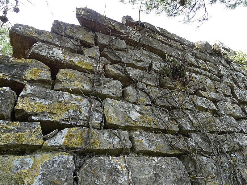 Casa fortificada Sant Jaume de Viladaspis