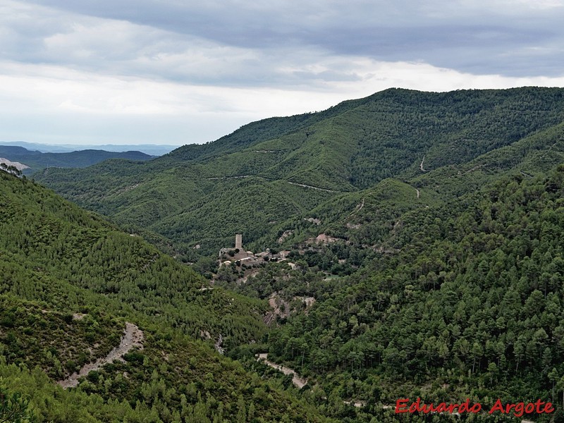 Castillo de Coaner