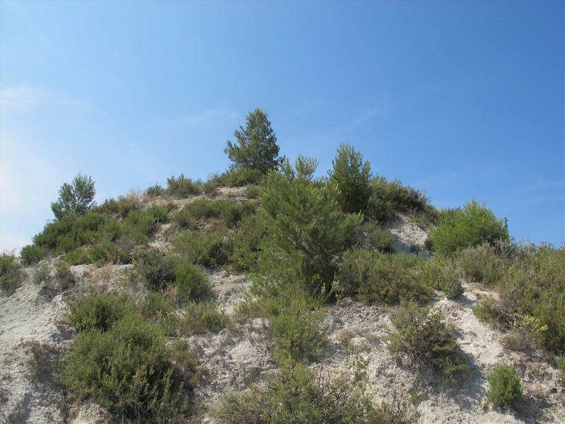 Castillo de Ocelló