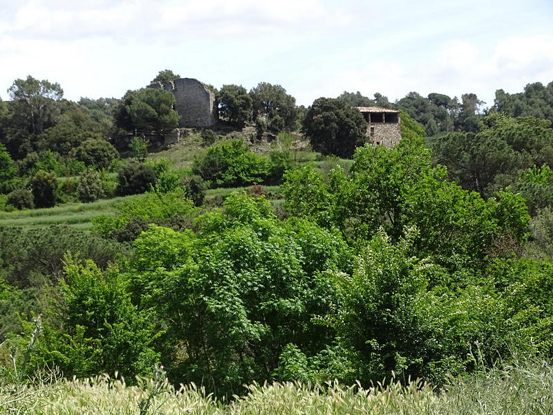 Castillo de Esparraguera