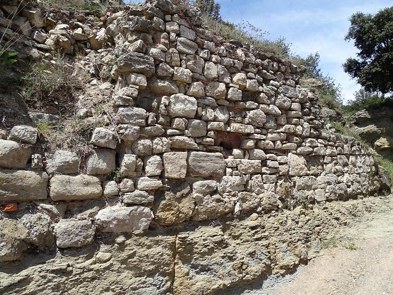 Castillo de Esparraguera