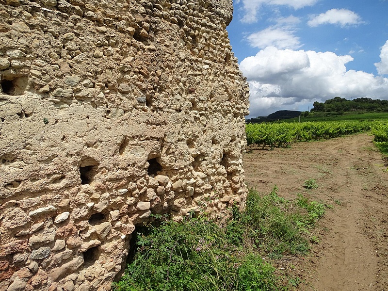 Torrota del Moro