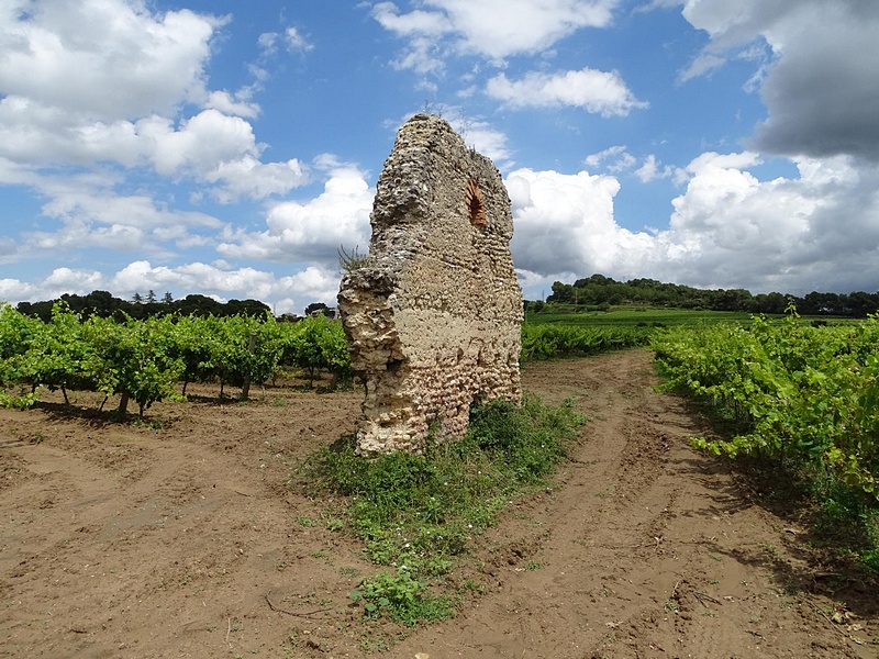 Torrota del Moro