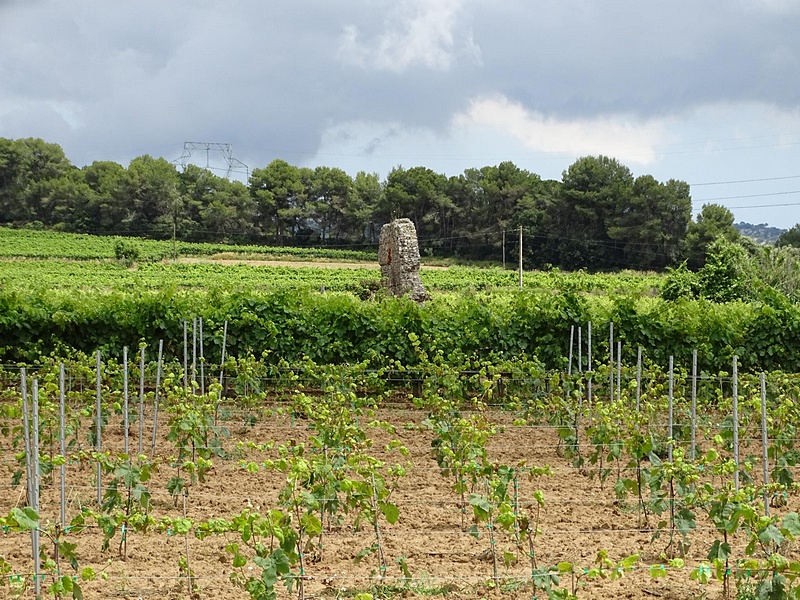 Torrota del Moro