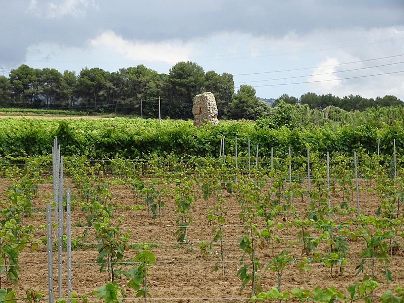 Torrota del Moro