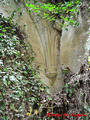 Ruinas del Convento de San Francisco