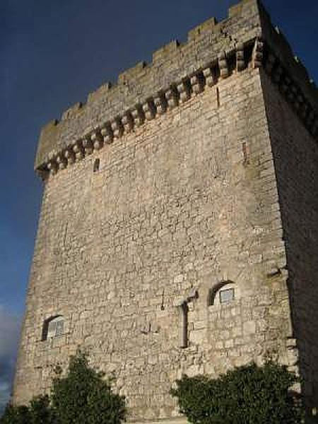 Castillo de Arenillas de Muñó