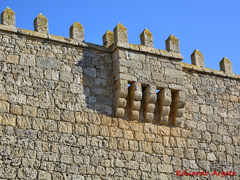 Castillo palacio de Hormaza