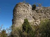 Castillo de Montealegre