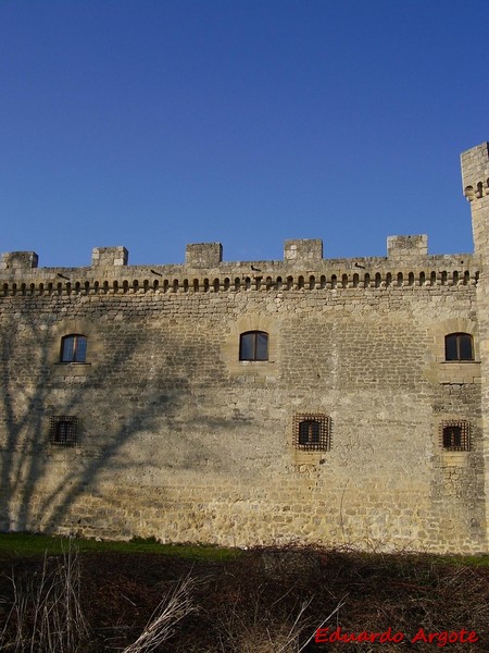 Castillo de Sotopalacios