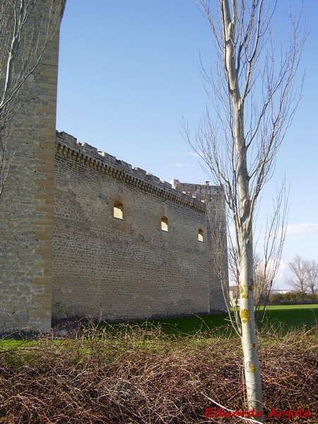 Castillo de Sotopalacios