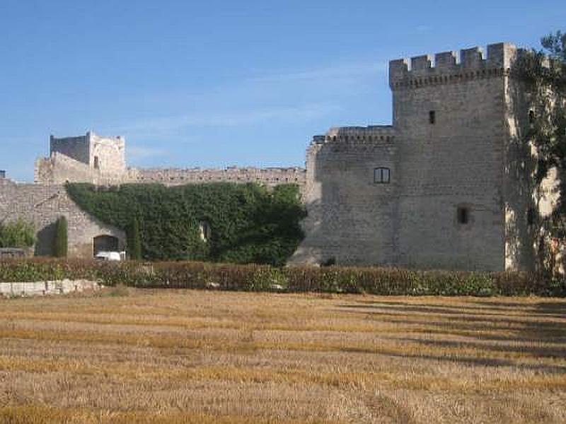 Castillo de Sotopalacios