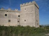 Castillo de Sotopalacios