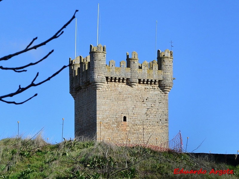 Castillo de Torrepadierne