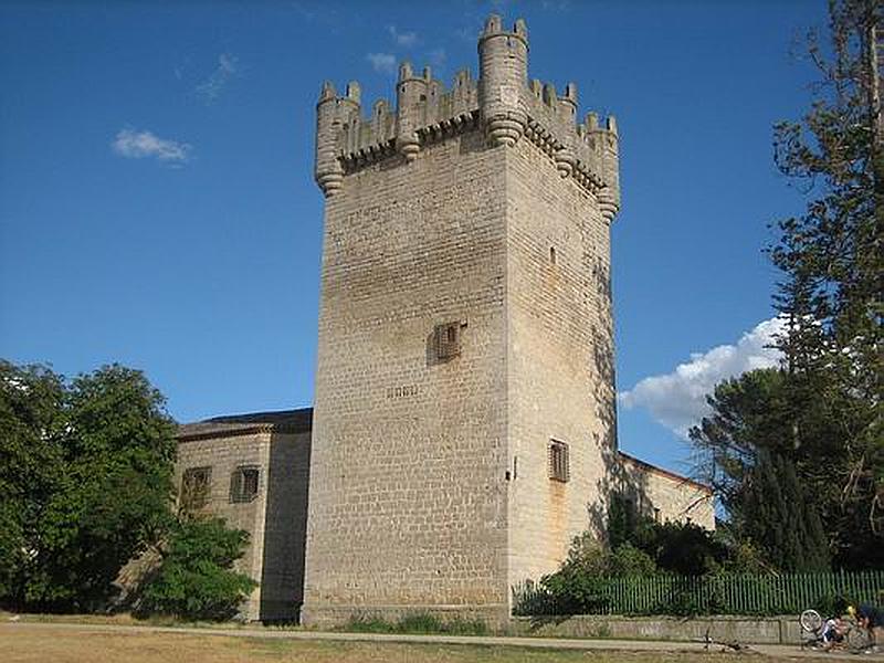 Castillo de Torrepadierne