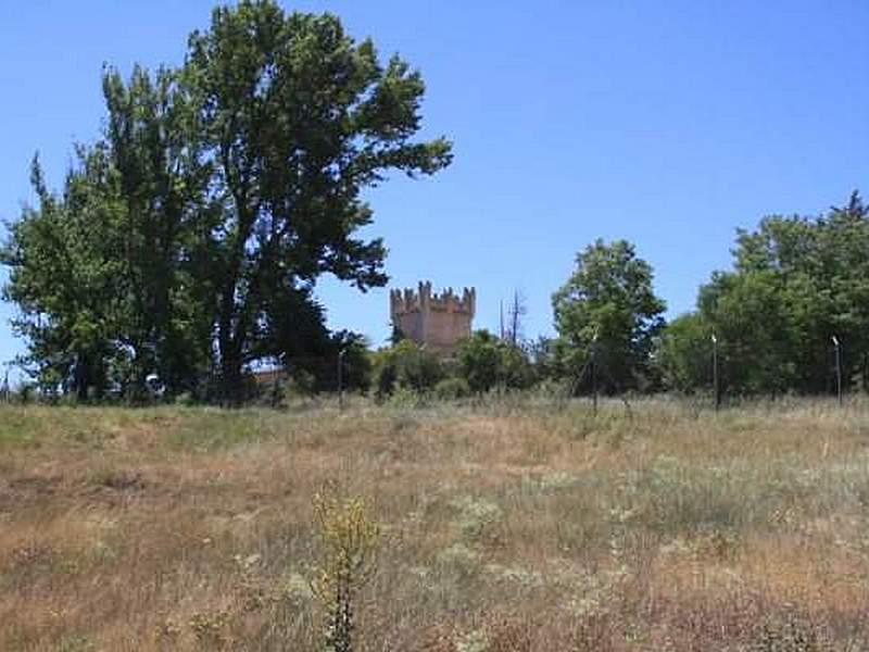 Castillo de Torrepadierne