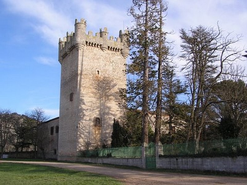 Castillo de Torrepadierne