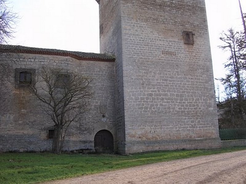 Castillo de Torrepadierne