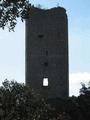 Castillo de Arganzón