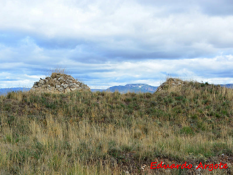 Castillo de Revillalcón