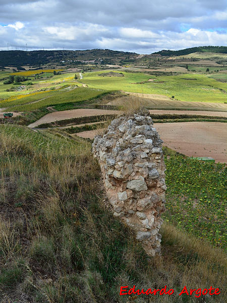 Castillo de Revillalcón