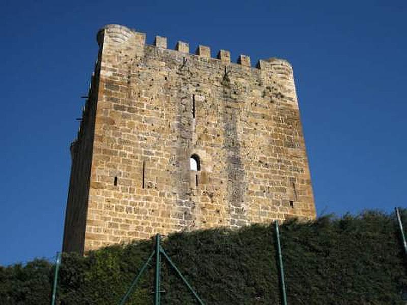 Castillo de los Velasco