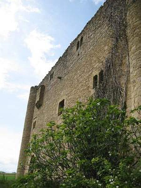 Torre de los Bonifaz