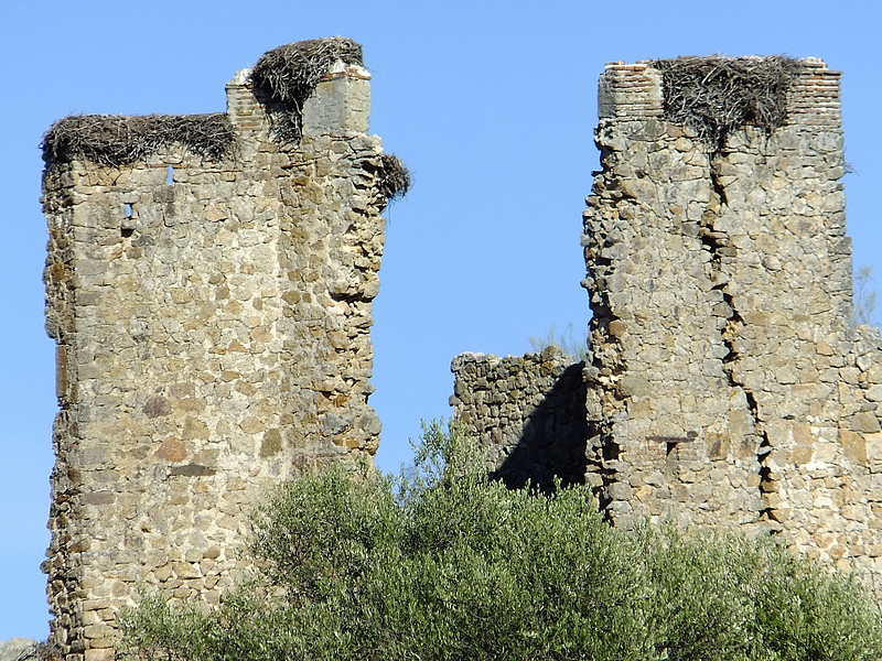 Castillo de Mayoralgo