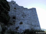 Castillo de Trevejo